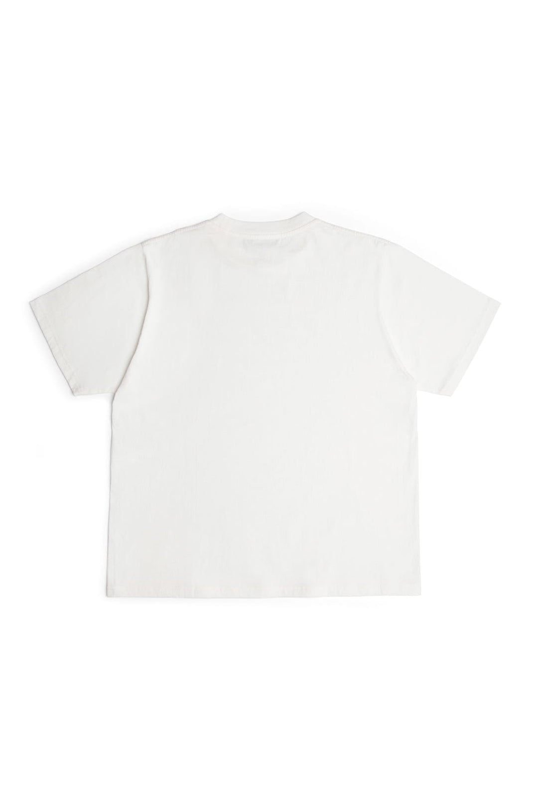 Ready To Dye Homeroom T Shirt 2.0