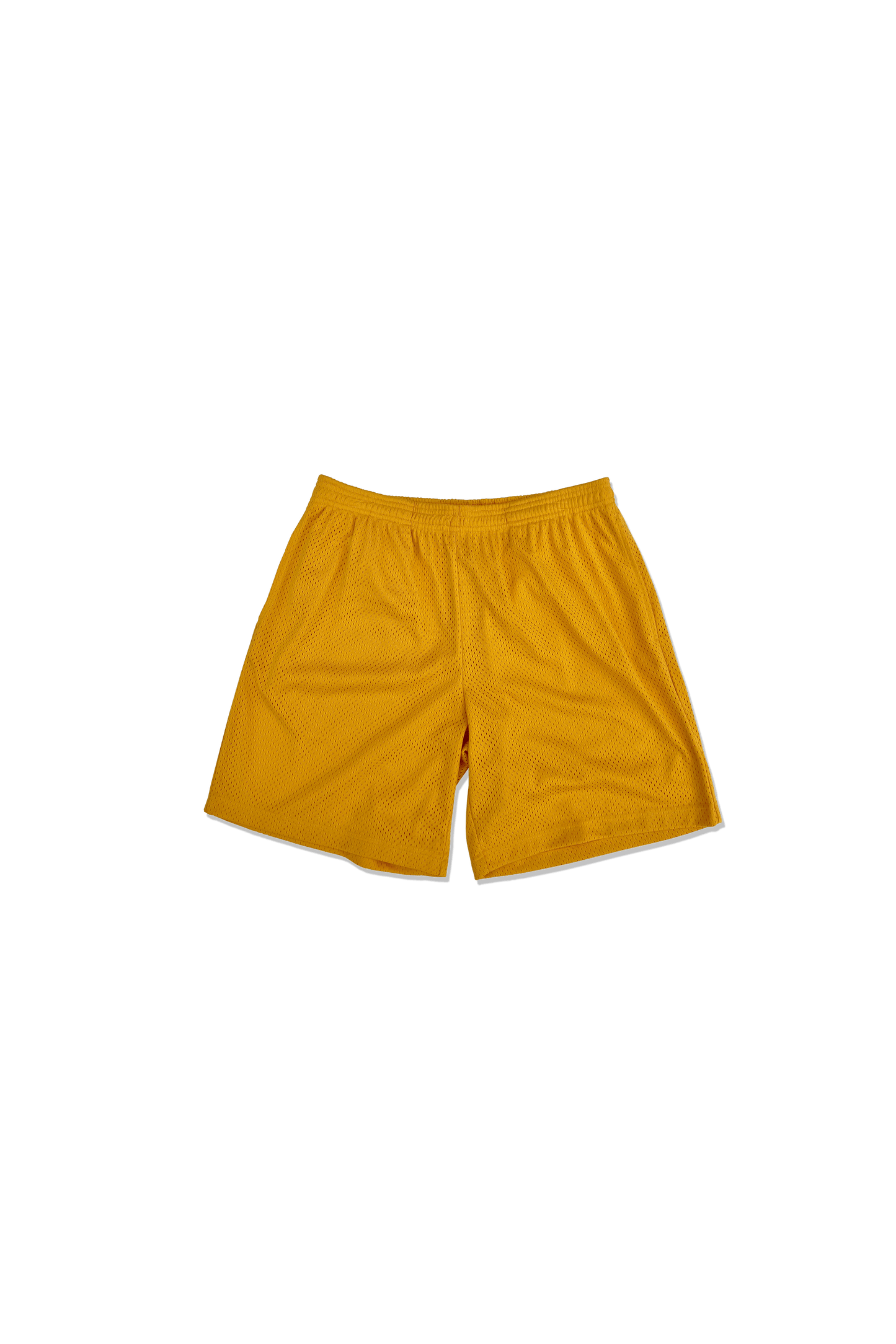 Practice Mesh Shorts