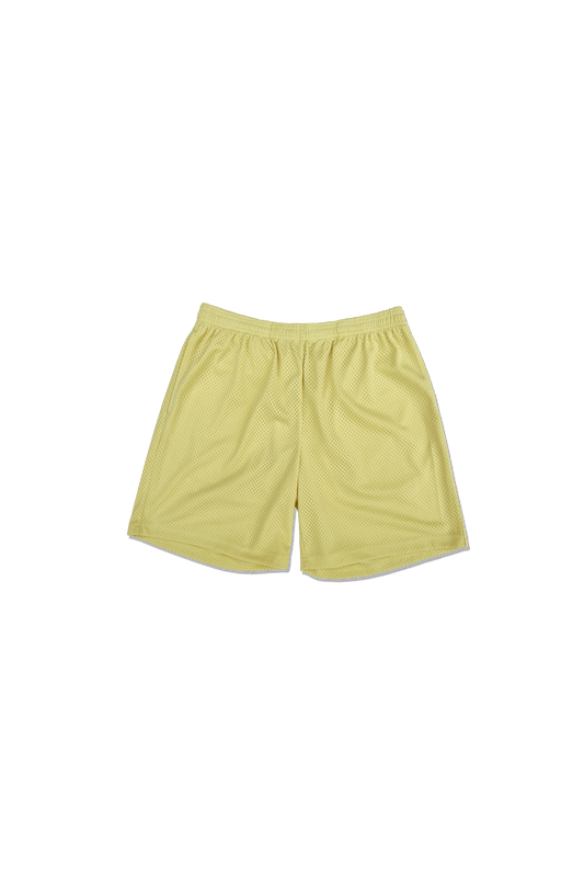 Practice Mesh Shorts